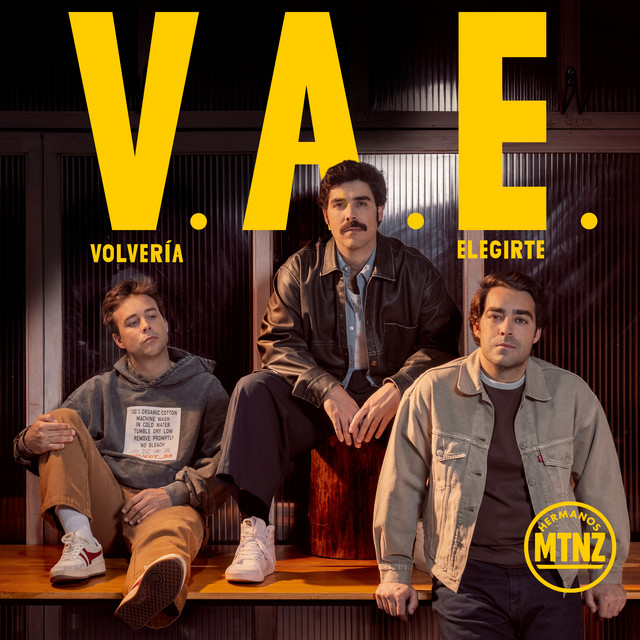 Hermanos Martínez — Volvería A Elegirte
